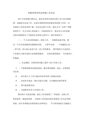 2019年管帐师事务所试用期工作总结.docx