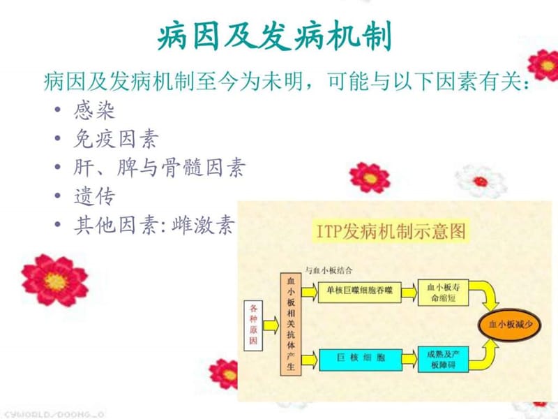 特发性血小板减少性紫癜患者的护理查房课件.ppt_第3页