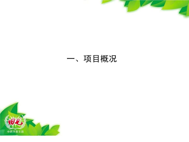 田七牙膏营销案例课件.ppt_第2页