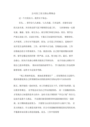 公司员工实习的心得体会.docx