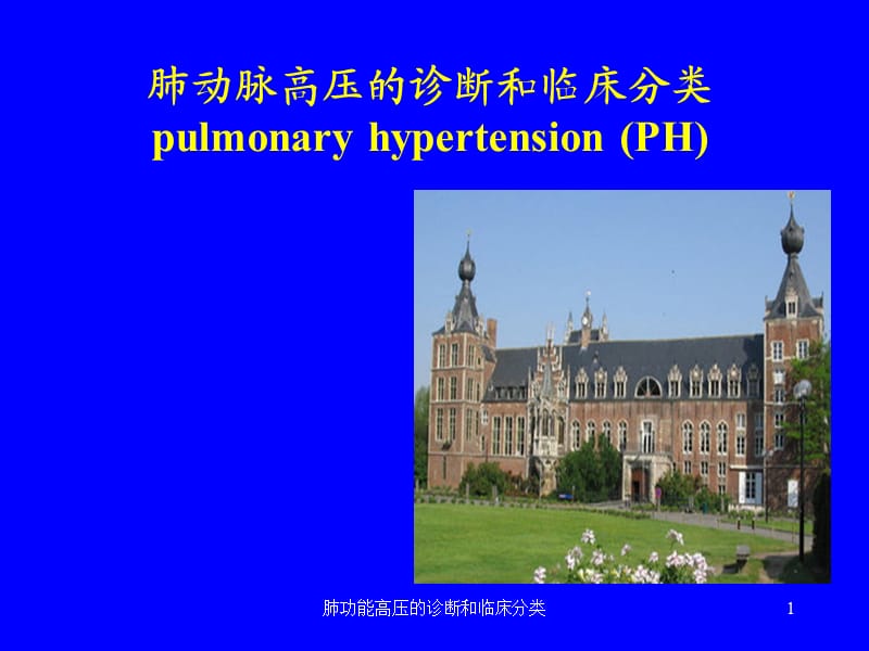 肺功能高压的诊断和临床分类课件.ppt_第1页