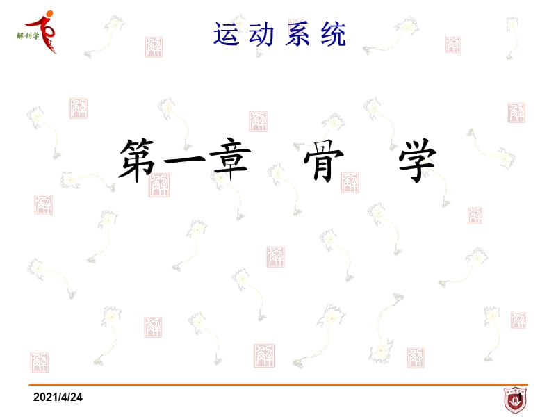 系统解剖学第一章 骨学课件.ppt_第1页