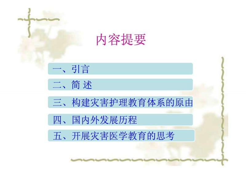 灾害护理教育课程体系课件.ppt_第2页