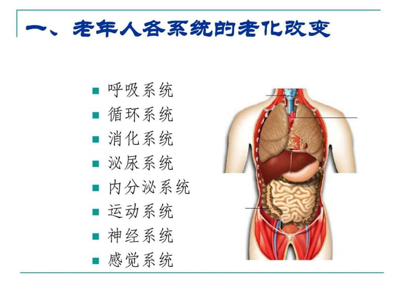 老年人常见健康问题与护理(周薇)课件.ppt_第2页