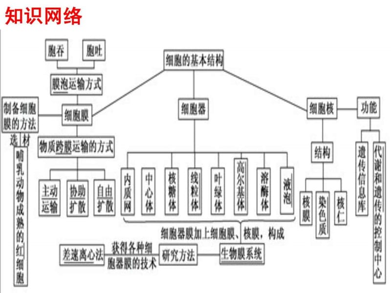 细胞的分子结构二轮复习课件.ppt_第2页