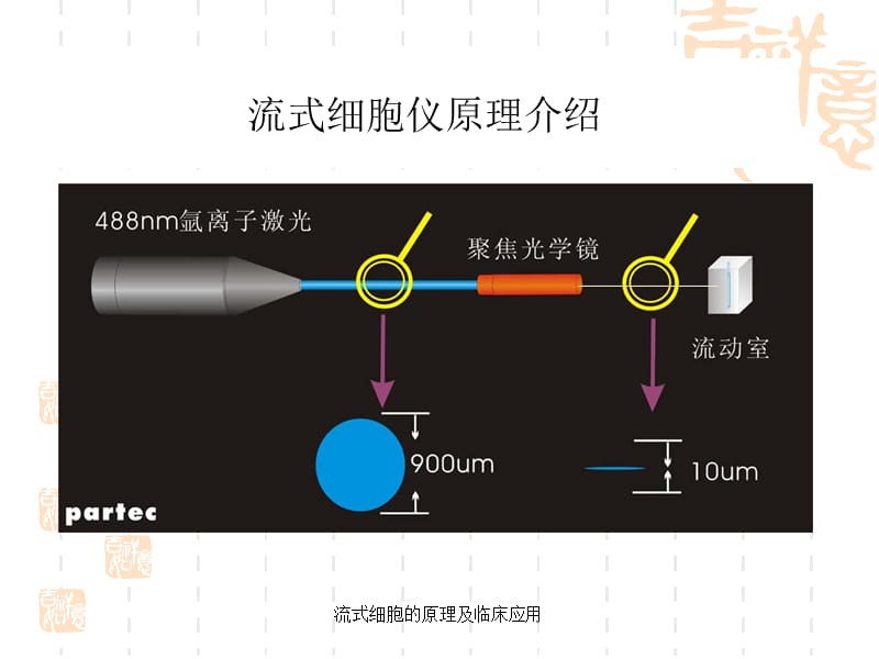 流式细胞的原理及临床应用课件.ppt_第3页