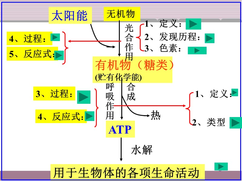 细胞呼吸和光合作用的复习课件.ppt_第2页