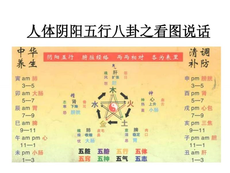 人体阴阳五行八卦之看图说话课件.ppt_第1页