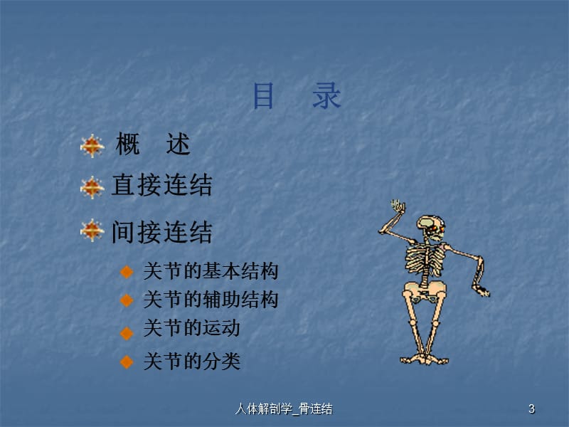 人体解剖学_骨连结课件.ppt_第3页