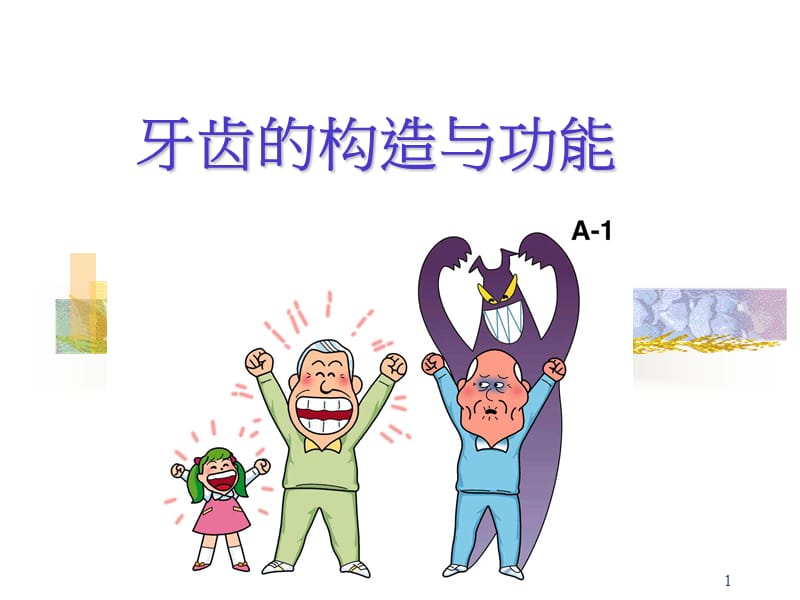 牙齿的构造与功能课件.ppt_第1页