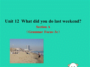 2019版七年级英语下册 Unit 12 What did you do last weekend Section A（Grammar Focus-3c）教学课件1 （新版）人教新目标版.ppt