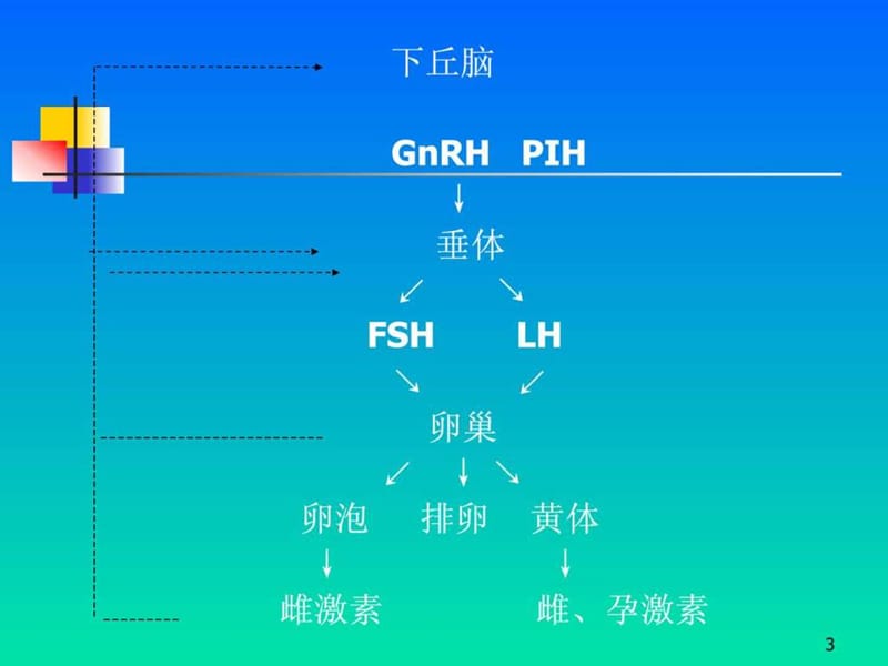 妇产科护理_功能失调性子宫出血课件.ppt_第3页