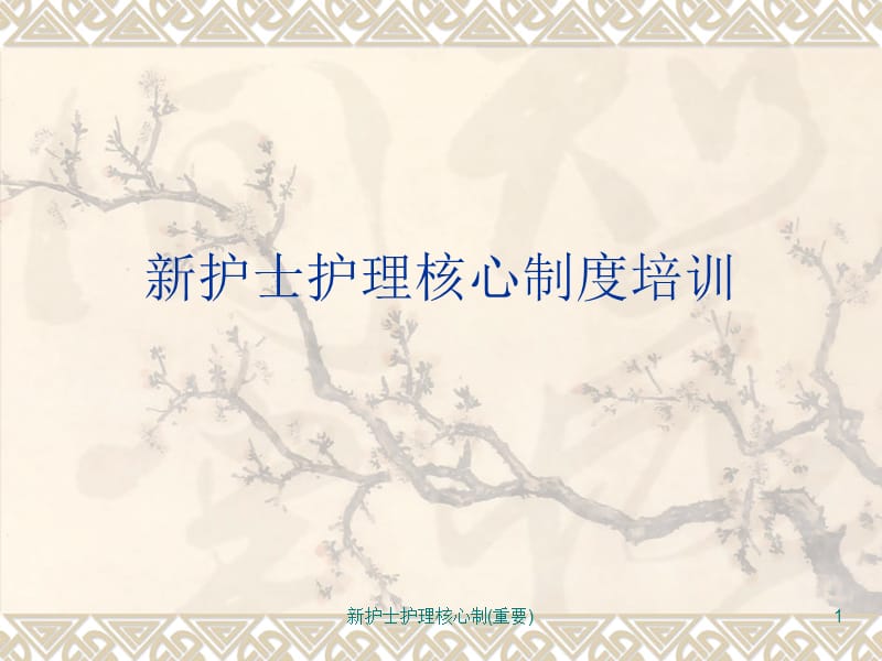 新护士护理核心制(重要)课件.ppt_第1页