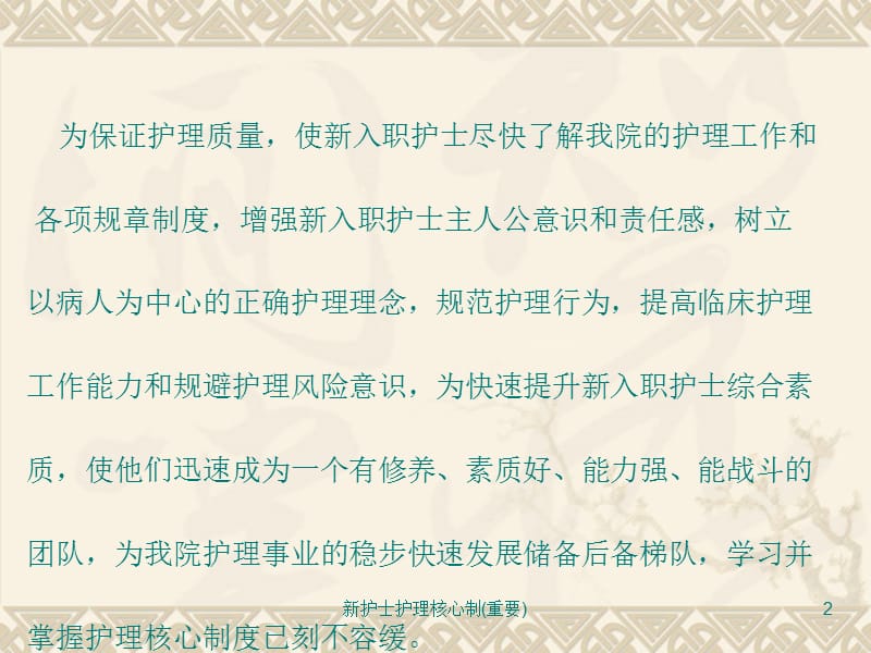 新护士护理核心制(重要)课件.ppt_第2页