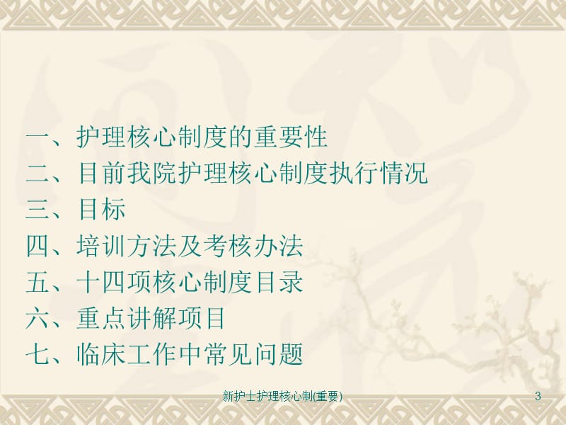 新护士护理核心制(重要)课件.ppt_第3页