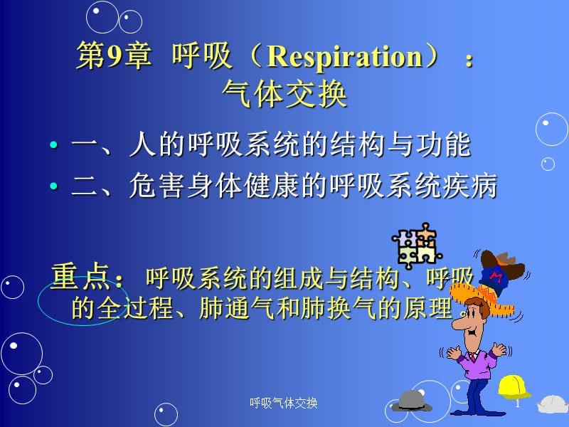 呼吸气体交换课件.ppt_第1页