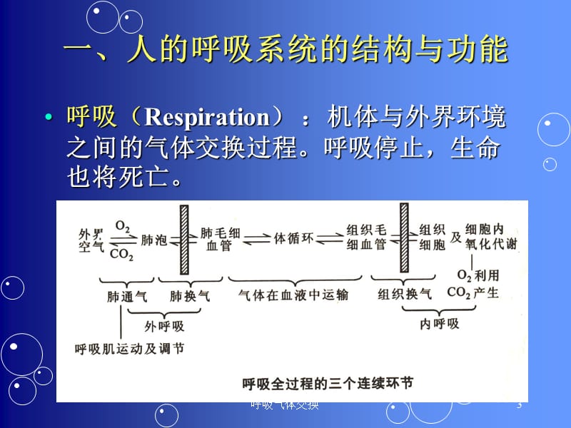 呼吸气体交换课件.ppt_第3页