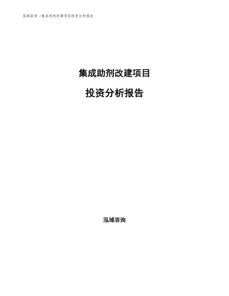 集成助剂改建项目投资分析报告模板.docx_第1页