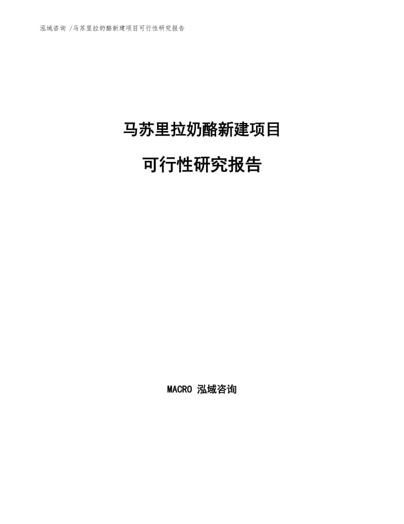 马苏里拉奶酪新建项目可行性研究报告.docx_第1页