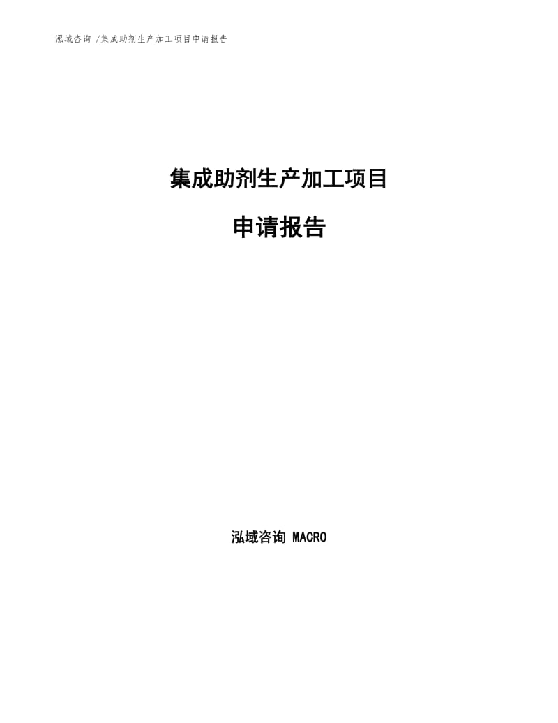 集成助剂生产加工项目申请报告参考模板.docx_第1页