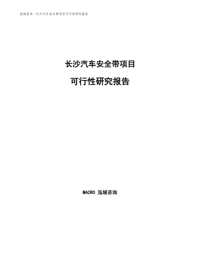 长沙汽车安全带项目可行性研究报告.docx_第1页