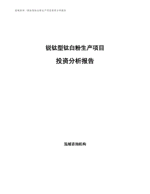 锐钛型钛白粉生产项目投资分析报告.docx