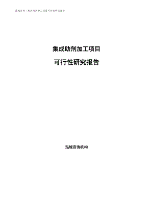 集成助剂加工项目可行性研究报告范文参考.docx