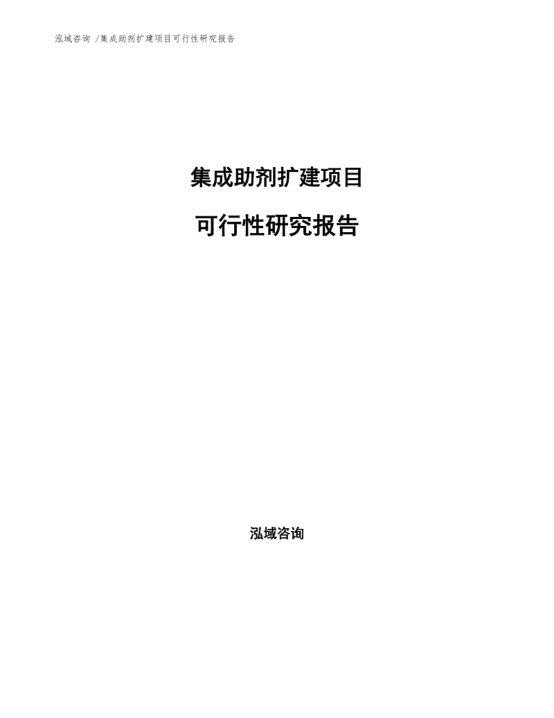 集成助剂扩建项目可行性研究报告.docx_第1页