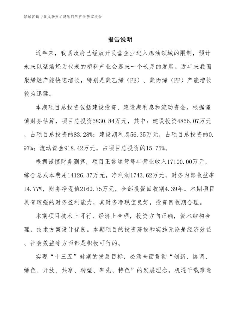 集成助剂扩建项目可行性研究报告.docx_第2页