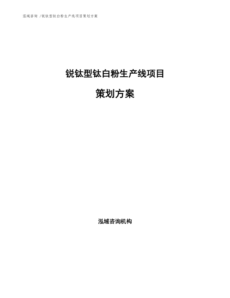 锐钛型钛白粉生产线项目策划方案范文参考.docx_第1页