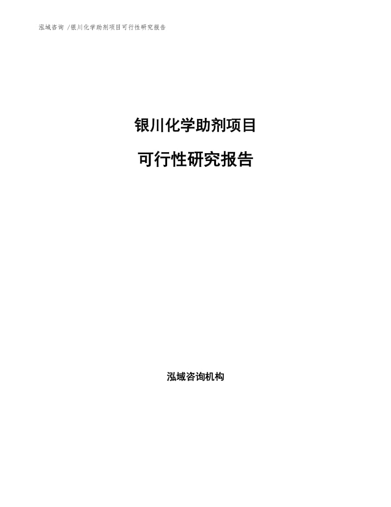 银川化学助剂项目可行性研究报告.docx_第1页