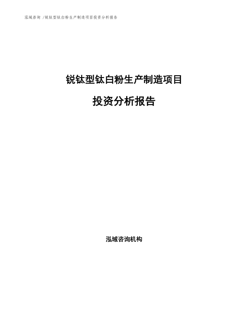 锐钛型钛白粉生产制造项目投资分析报告.docx_第1页