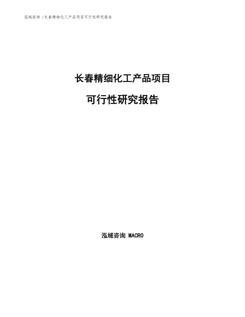 长春精细化工产品项目可行性研究报告.docx_第1页