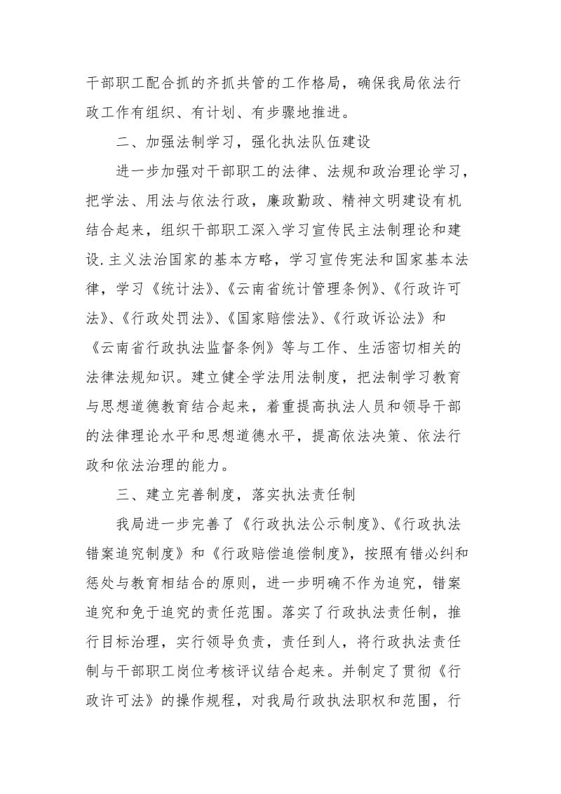 2021年统计局行政执法工作总结.docx_第2页