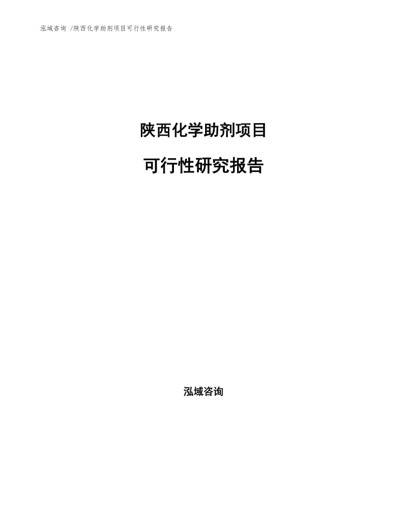 陕西化学助剂项目可行性研究报告模板.docx_第1页