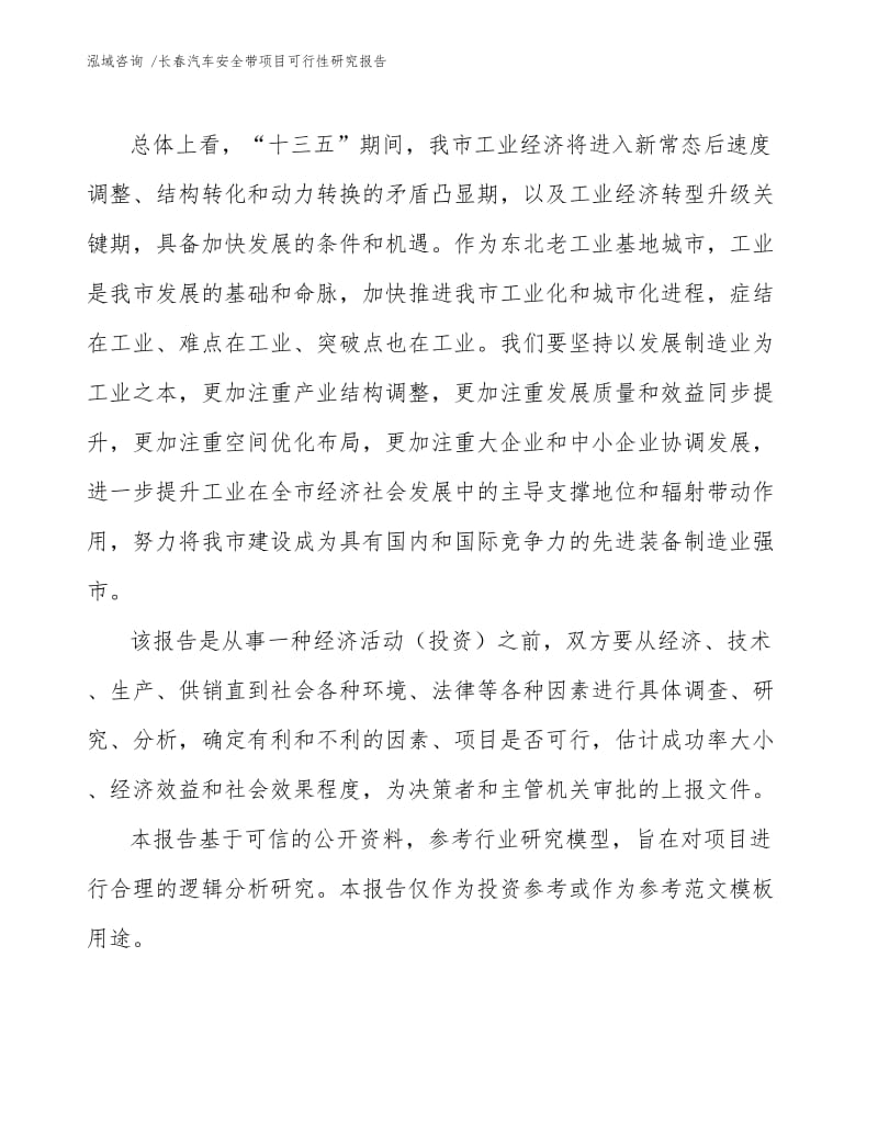 长春汽车安全带项目可行性研究报告（可编辑模板）.docx_第3页