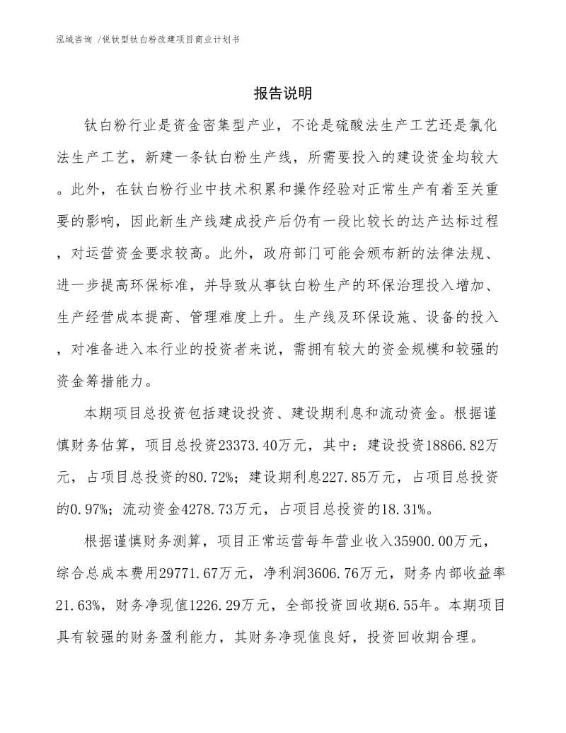 锐钛型钛白粉改建项目商业计划书模板.docx_第2页