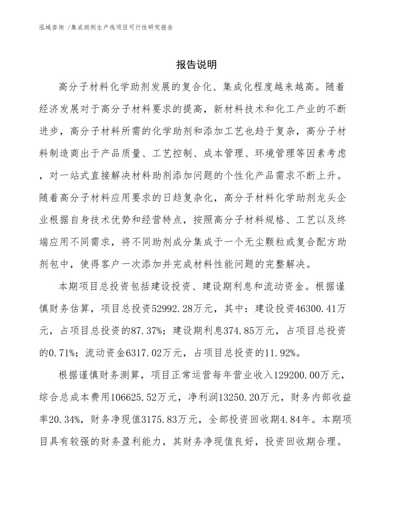 集成助剂生产线项目可行性研究报告.docx_第2页