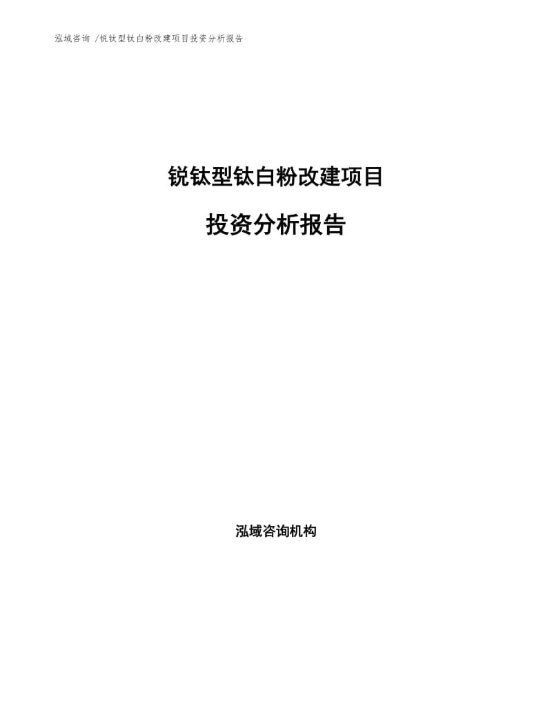 锐钛型钛白粉改建项目投资分析报告参考范文.docx_第1页