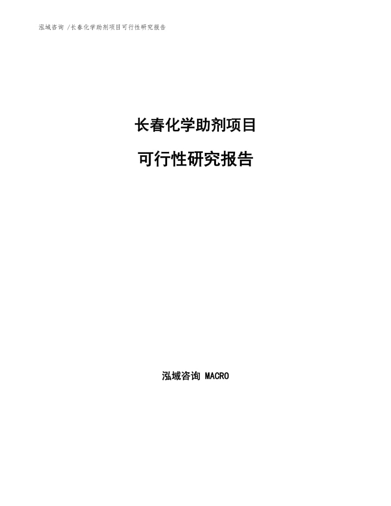 长春化学助剂项目可行性研究报告.docx_第1页