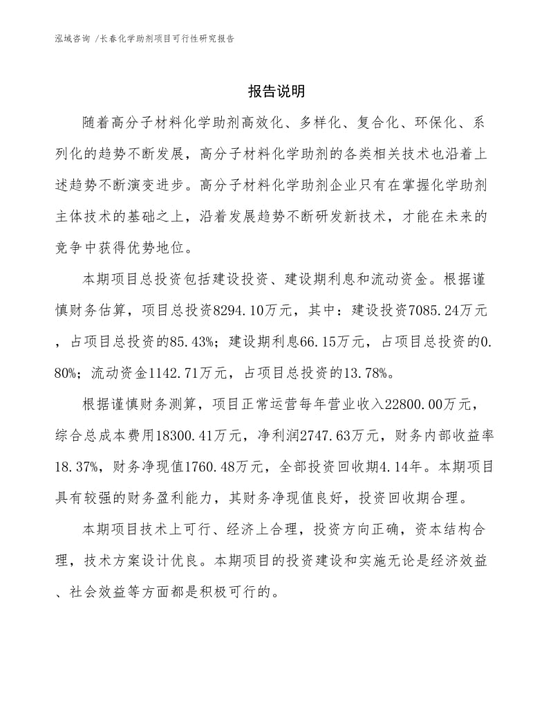 长春化学助剂项目可行性研究报告.docx_第2页