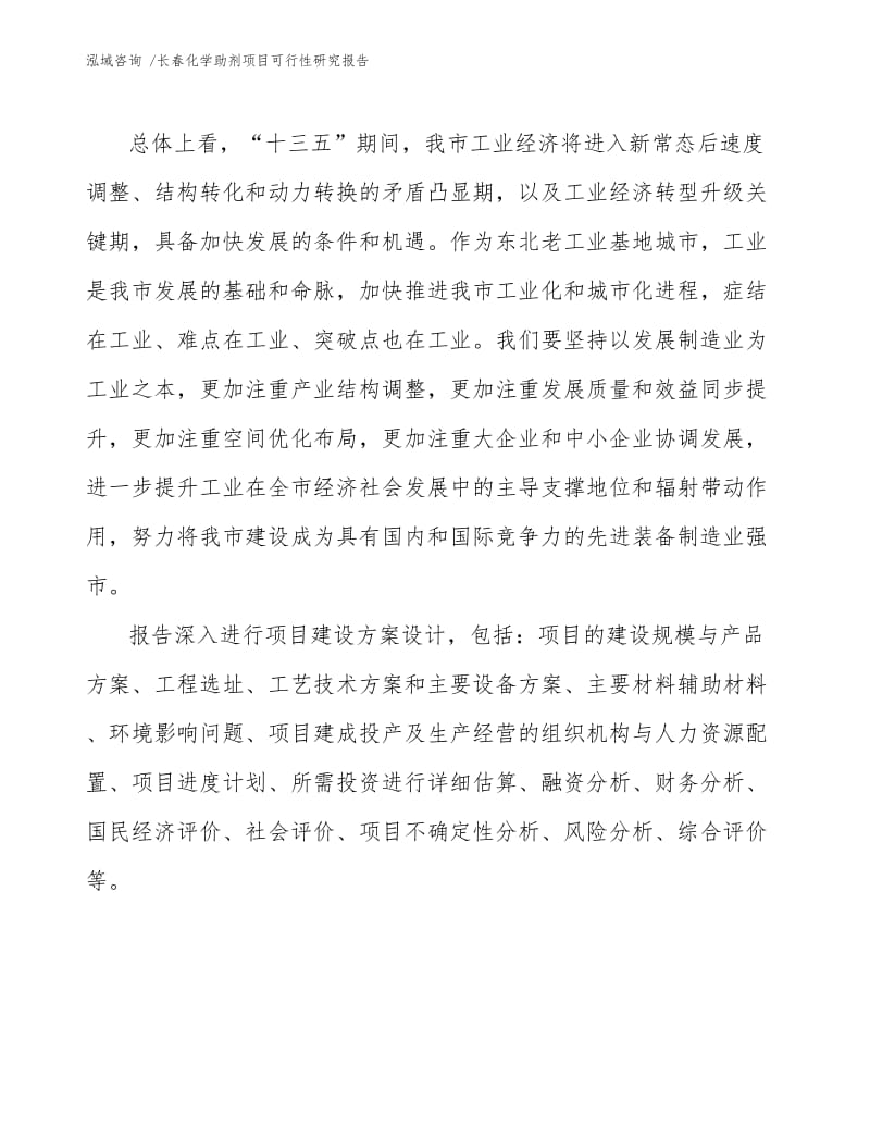 长春化学助剂项目可行性研究报告.docx_第3页