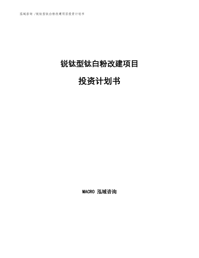 锐钛型钛白粉改建项目投资计划书样例模板.docx_第1页