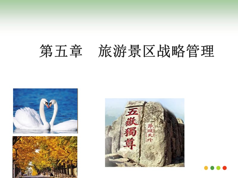 第五章_旅游景区战略管理[专业课堂].ppt_第1页