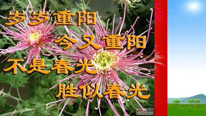 幼儿园重阳节课件.ppt_第2页