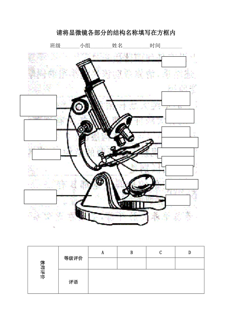 练习使用显微镜的实验1.doc_第2页