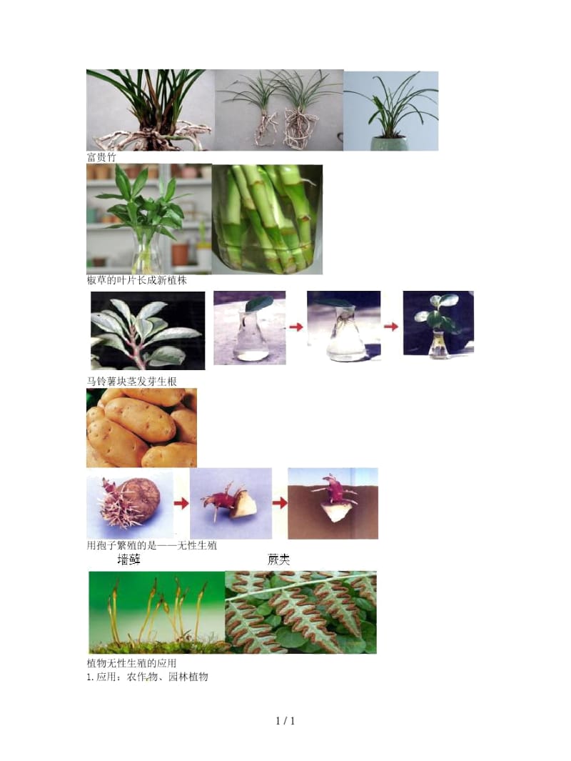 中考生物专题复习十七生物的生殖和发育讲义.docx_第2页