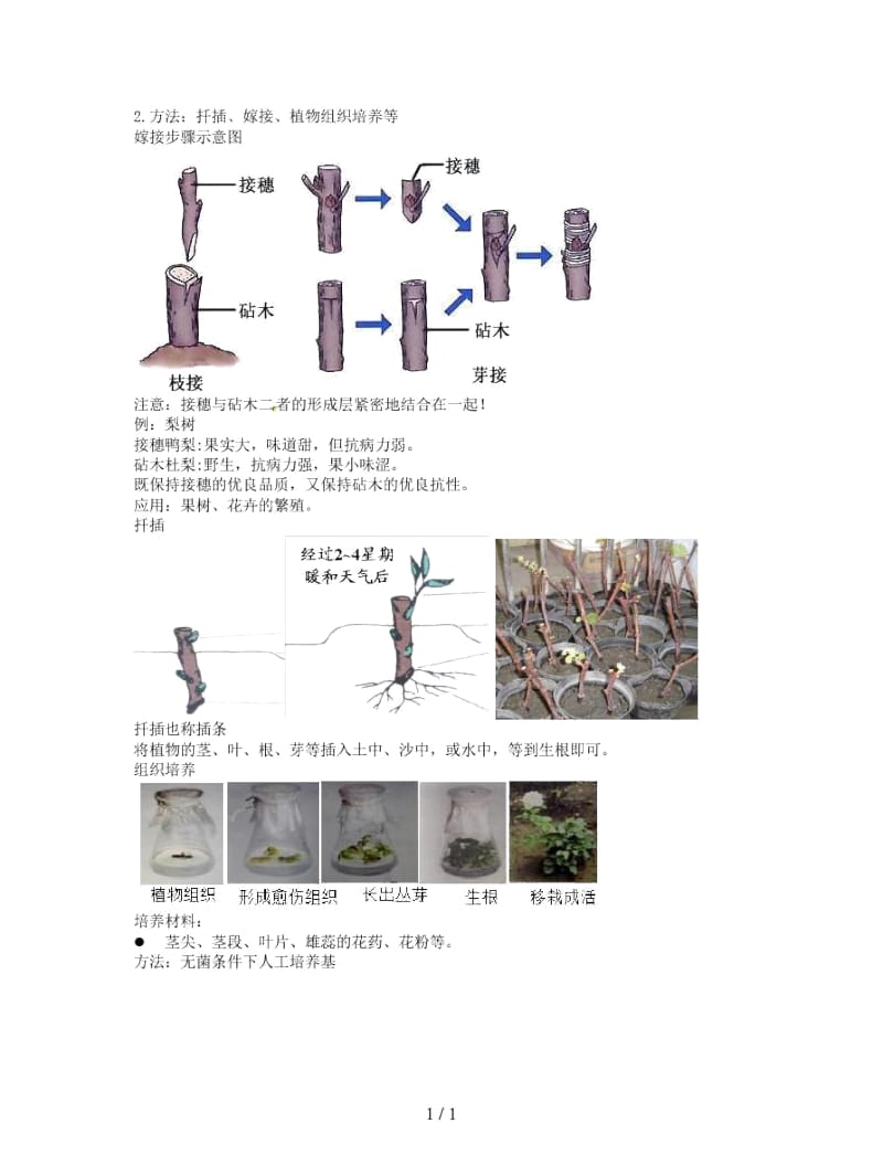 中考生物专题复习十七生物的生殖和发育讲义.docx_第3页