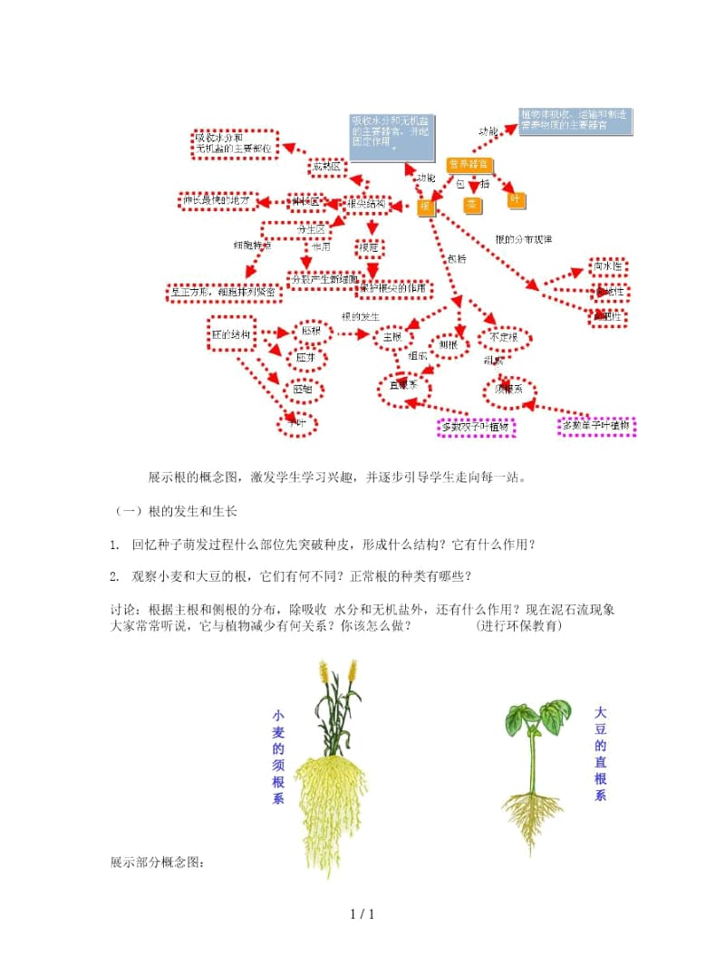 七年级生物上册第3单元第6章第2节营养器官的生长教案.docx_第2页