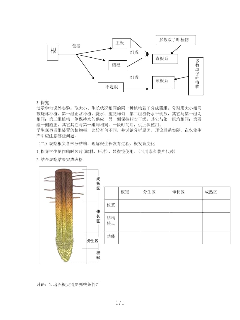 七年级生物上册第3单元第6章第2节营养器官的生长教案.docx_第3页